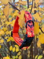 Ошейник - " Огонь"