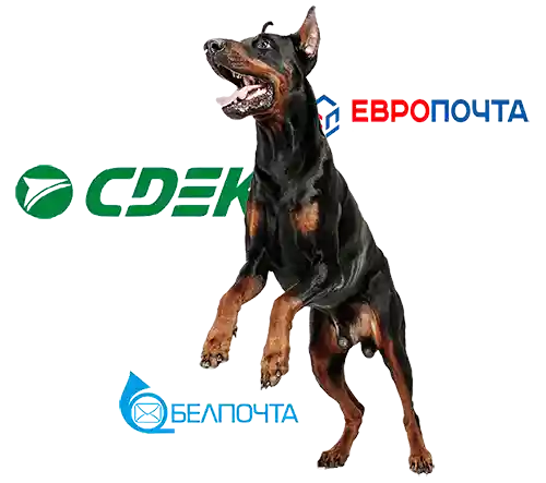 Доставка Беларусь, Россия.