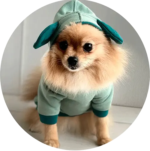 пошив одежды для собак на заказ в беларуси
